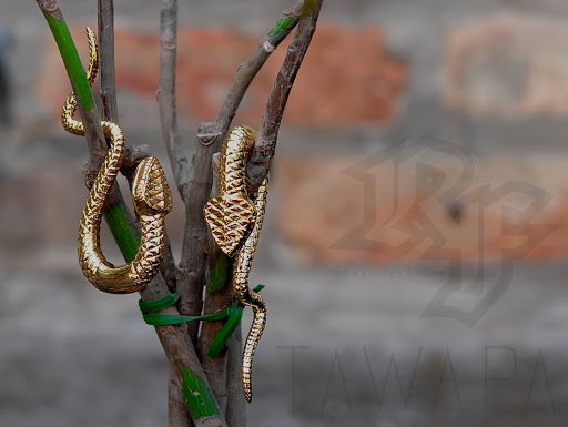 Tattoo Shop «Royal Flesh Tattoo and Piercing», reviews and photos, 4005 N Broadway St, Chicago, IL 60613, USA