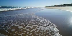 Foto von Reeves Beach mit sehr sauber Sauberkeitsgrad