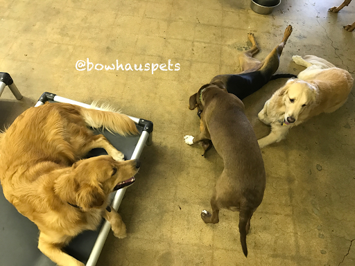 Dog Day Care Center «The Bowhaus Pet Company», reviews and photos, 2472 E Colorado Blvd, Pasadena, CA 91107, USA