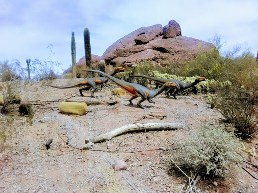 Zoo «Phoenix Zoo», reviews and photos, 455 N Galvin Pkwy, Phoenix, AZ 85008, USA