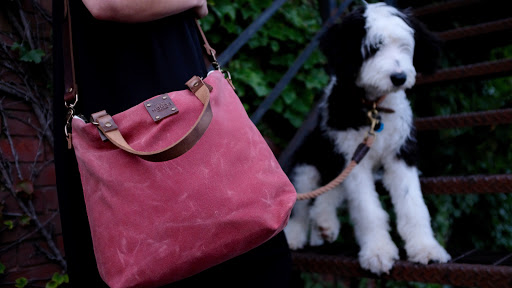 Gift Shop «Common Deer», reviews and photos, 210 College St #101, Burlington, VT 05401, USA