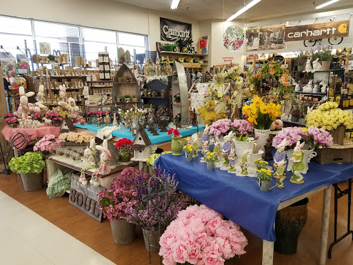 Hardware Store «Pennsburg Ace Hardware», reviews and photos, 482 Pottstown Ave, Pennsburg, PA 18073, USA