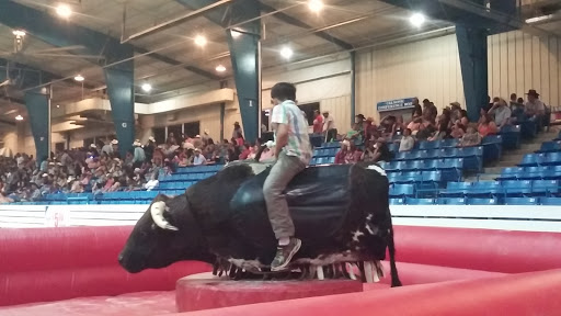 Stadium «Calsonic Arena», reviews and photos, 721 Whitthorne St, Shelbyville, TN 37160, USA