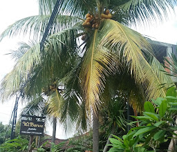 Friendly House Bali photo