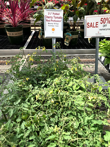 Wagners Garden Center Minneapolis