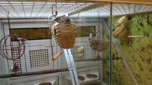 Pet Supply Store «PetSmart», reviews and photos, 1125 Hover St, Longmont, CO 80501, USA