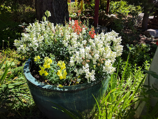 Park «McCollum Park», reviews and photos, 600 128th St SE, Everett, WA 98208, USA