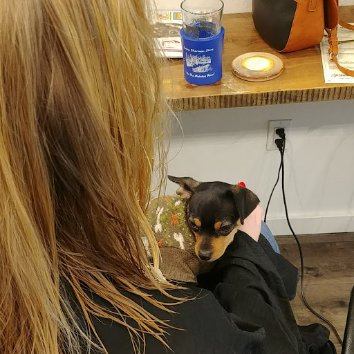 Hair Salon «Cathedral Park Salon», reviews and photos, Cathedral Park Salon, 7227 N Philadelphia Ave #103, Portland, OR 97203, USA