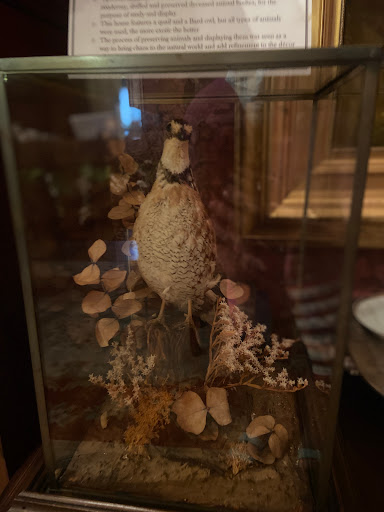 Museum «Hunter House Victorian Museum», reviews and photos, 240 W Freemason St, Norfolk, VA 23510, USA