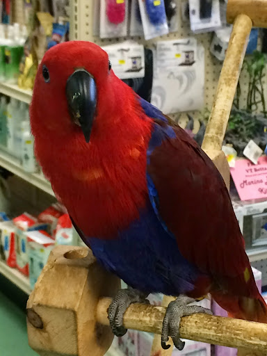 Pet Store «Pets World», reviews and photos, 147 Bridge St, Weymouth, MA 02191, USA