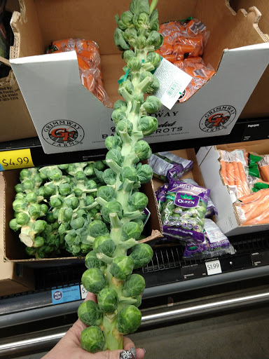 Supermarket «ALDI», reviews and photos, 3085 Ridge Rd, Rockwall, TX 75032, USA