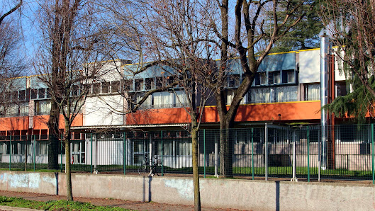 Liceo Scientifico Statale G. Falcone e P. Borsellino Via Matteotti, 29, 20044 Arese MI, Italia