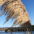 Saltwater Creek Walkway