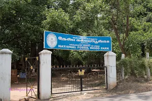 The Tiruvakkarai National Fossil Wood Park - Villupuram District, Tamil Nadu, India image