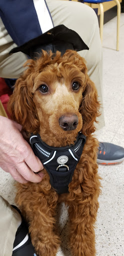 Pet Supply Store «PetSmart», reviews and photos, 1112 Town Square Rd, Pottstown, PA 19465, USA