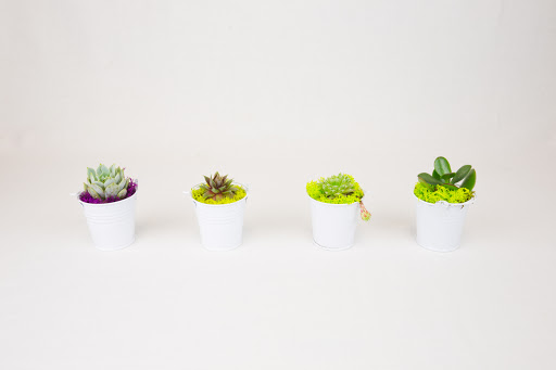 Florist «Fremont Flower Pavilion — The Fremont Florist», reviews and photos, 2090 Warm Springs Ct #148, Fremont, CA 94539, USA