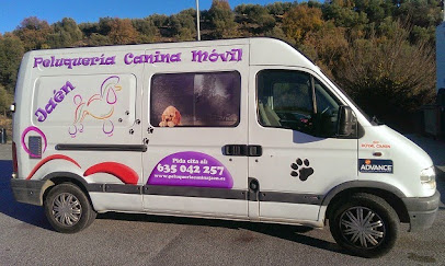 PELUQUERÍA CANINA JAÉN - Servicios para mascota en Albanchez de Mágina