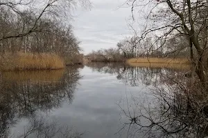 Mill Pond Park and Adam D Rand Memorial Trail image