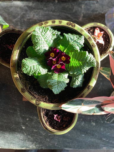 Tourist Attraction «Quarry Hill Farm», reviews and photos, 4405 VT-15, Jeffersonville, VT 05464, USA