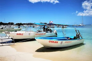 Go Dive Bayahibe image