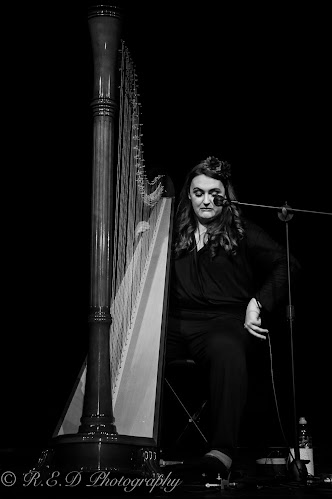 Sam Hickman Harpist - Cardiff