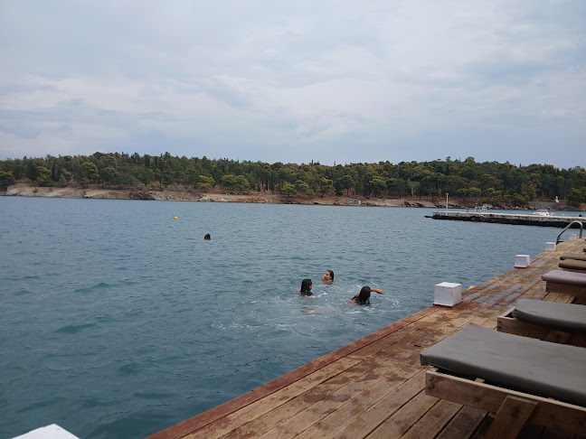 Σχόλια και κριτικές για το Ocean Drive Galaxidi