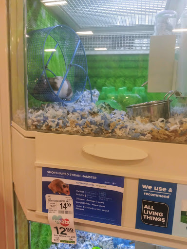 Pet Supply Store «PetSmart», reviews and photos, 1116 S Rochester Rd, Rochester Hills, MI 48307, USA