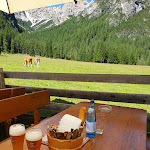 Photo n°3 de l'avis de Marco.e fait le 06/07/2023 à 18:56 sur le  Malga Foresta à Prags