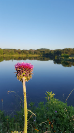 Nature Preserve «Joshua Springs Park and Preserve», reviews and photos, 716 Farm to Market 289, Comfort, TX 78013, USA