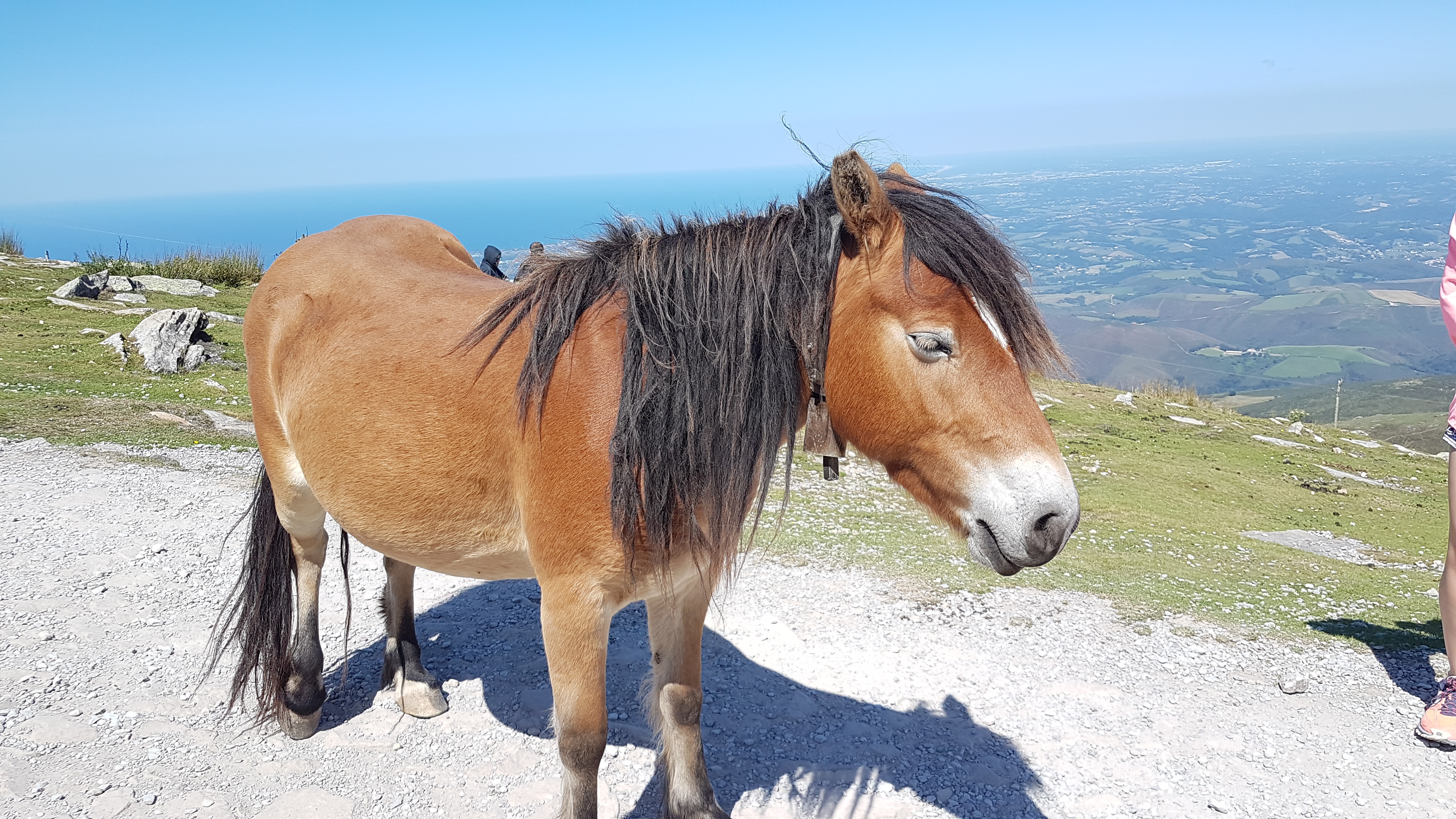 Photo n° 4 de l'avis de T.a fait le 29/08/2021 à 13:31