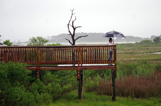National Park «Assateague Island National Seashore», reviews and photos, 7206 National Seashore Ln, Berlin, MD 21811, USA