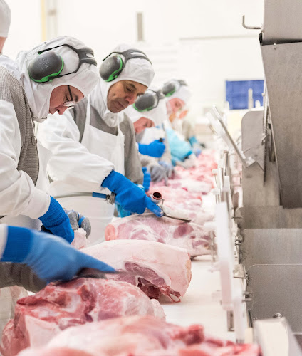 Bouchers Services à Rennes