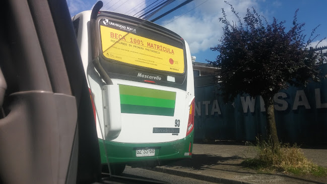 Empresa de Transportes Linea N 8 Padre las Casas