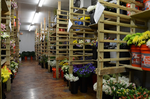 Florist «Flowers By Shirley», reviews and photos, 2200 US-1, St Augustine, FL 32086, USA