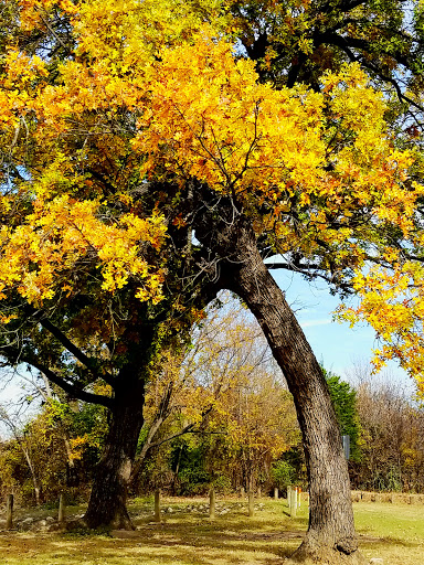 Park «California Crossing Park», reviews and photos, 5198 Riverside Dr, Irving, TX 75039, USA