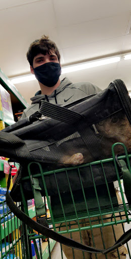 Pet Supply Store «Pet Supplies Plus», reviews and photos, 3100 Manchester Rd, Akron, OH 44319, USA