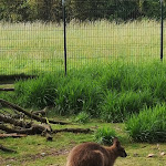 Photo n° 3 de l'avis de Perpetue.b fait le 19/06/2019 à 19:03 pour Parc René Canivenc à Gradignan