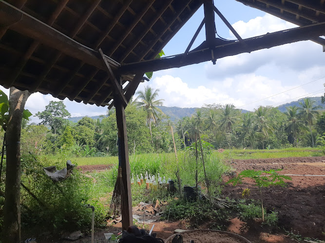 Menjelajahi Keindahan Taman Ekologi di Kabupaten Kulon Progo: Temukan Spot Menarik dan Tempat Menakjubkan