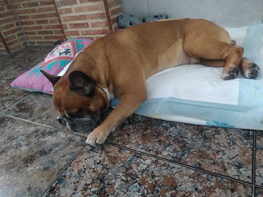 Aúna Especialidades Veterinarias - Veterinarios en Paterna