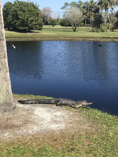 Golf Club «Palm Valley Golf Club», reviews and photos, 1075 Palm Valley Rd, Ponte Vedra Beach, FL 32081, USA