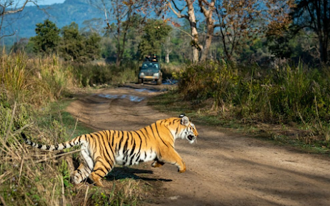 Sariska Tiger Reserve image