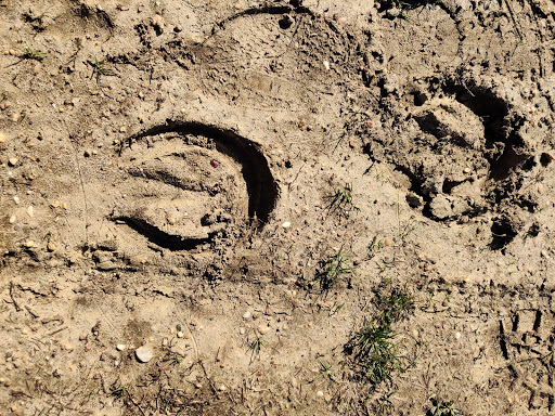 Park «Perrineville Lake Park», reviews and photos, 143 Baird Rd, Millstone, NJ 07726, USA