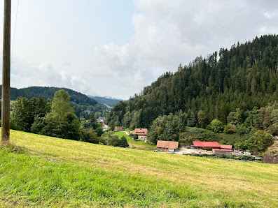 Bienenhaus 77776 Bad Rippoldsau-Schapbach, Deutschland