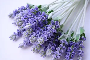 Lavender Hair Salon & Shoppe image