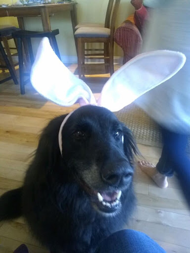 Insurance Agency «Allstate Insurance Agent: Amy Alward», reviews and photos