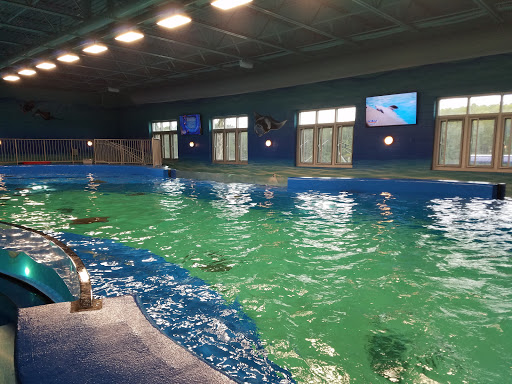 Educational Institution «Institute For Marine Mammal Studies», reviews and photos, 10801 Dolphin Ln, Gulfport, MS 39503, USA