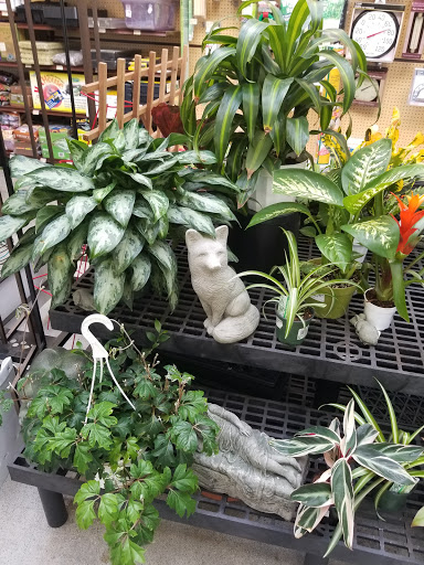 Hardware Store «Town Center Hardware, ACE», reviews and photos, 6613 132nd Ave NE, Kirkland, WA 98033, USA