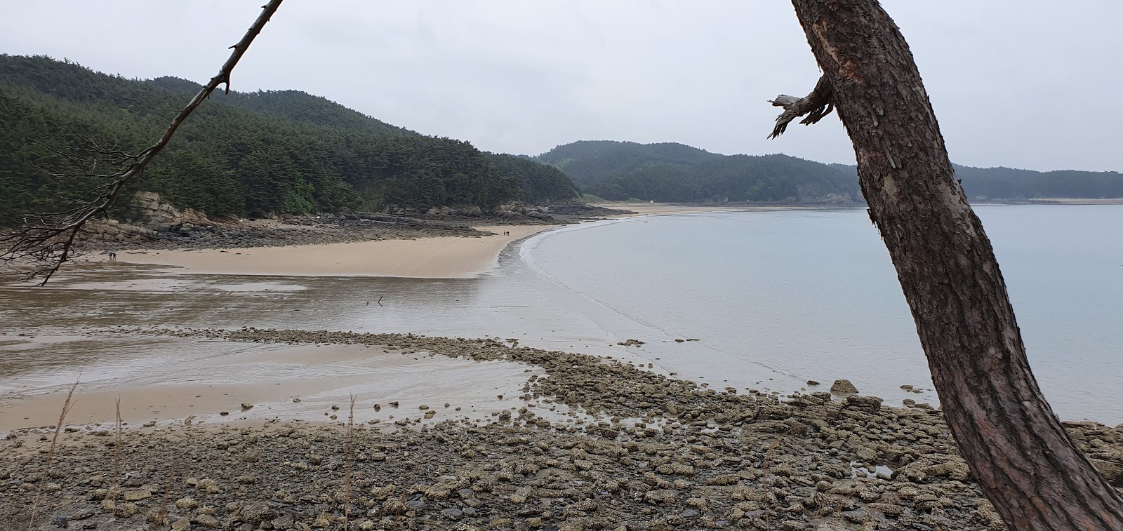 Photo de Meondong Beach avec moyenne baie