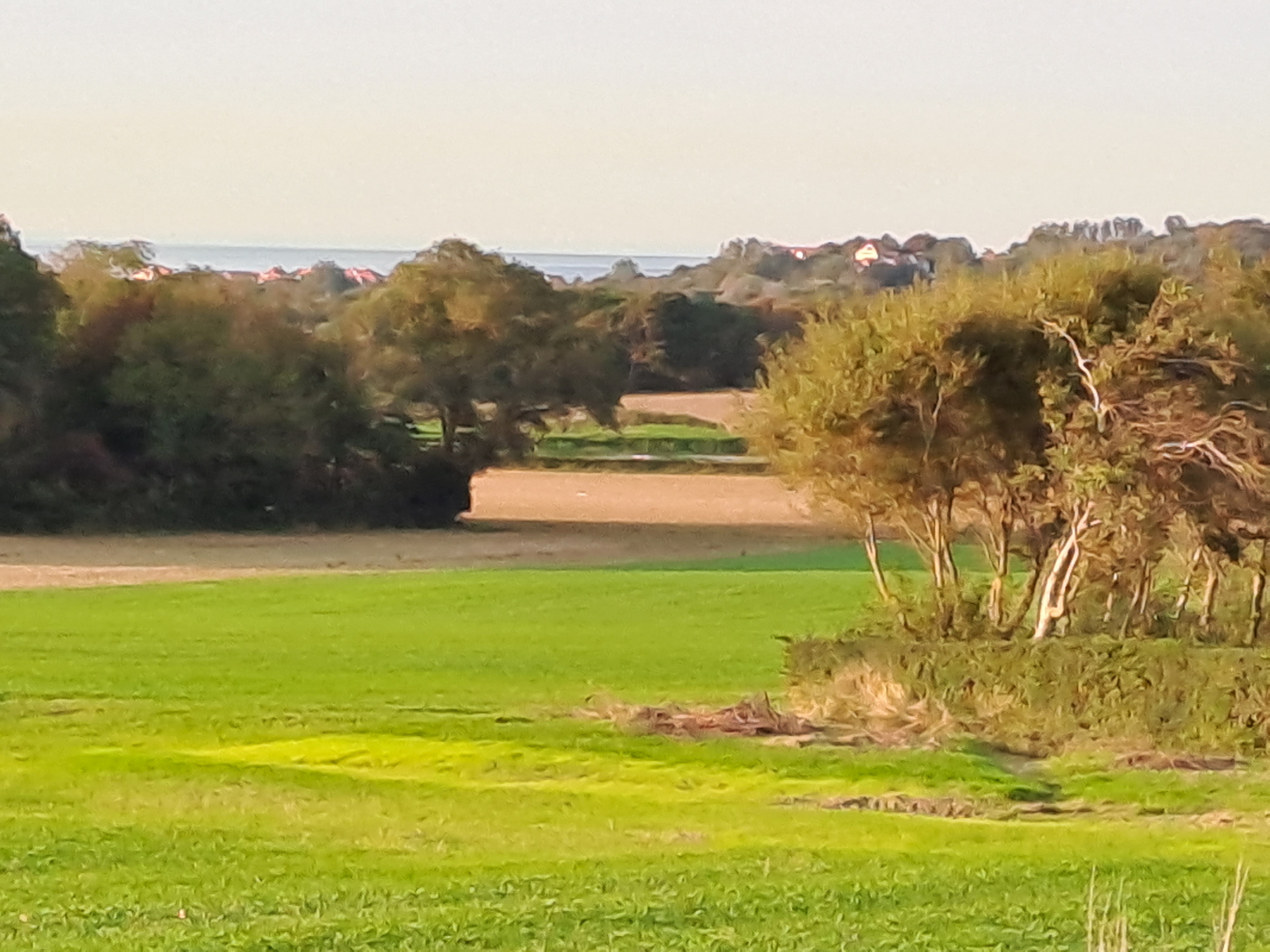 Photo n° 10 de l'avis de Gerda.o fait le 15/09/2023 à 20:02