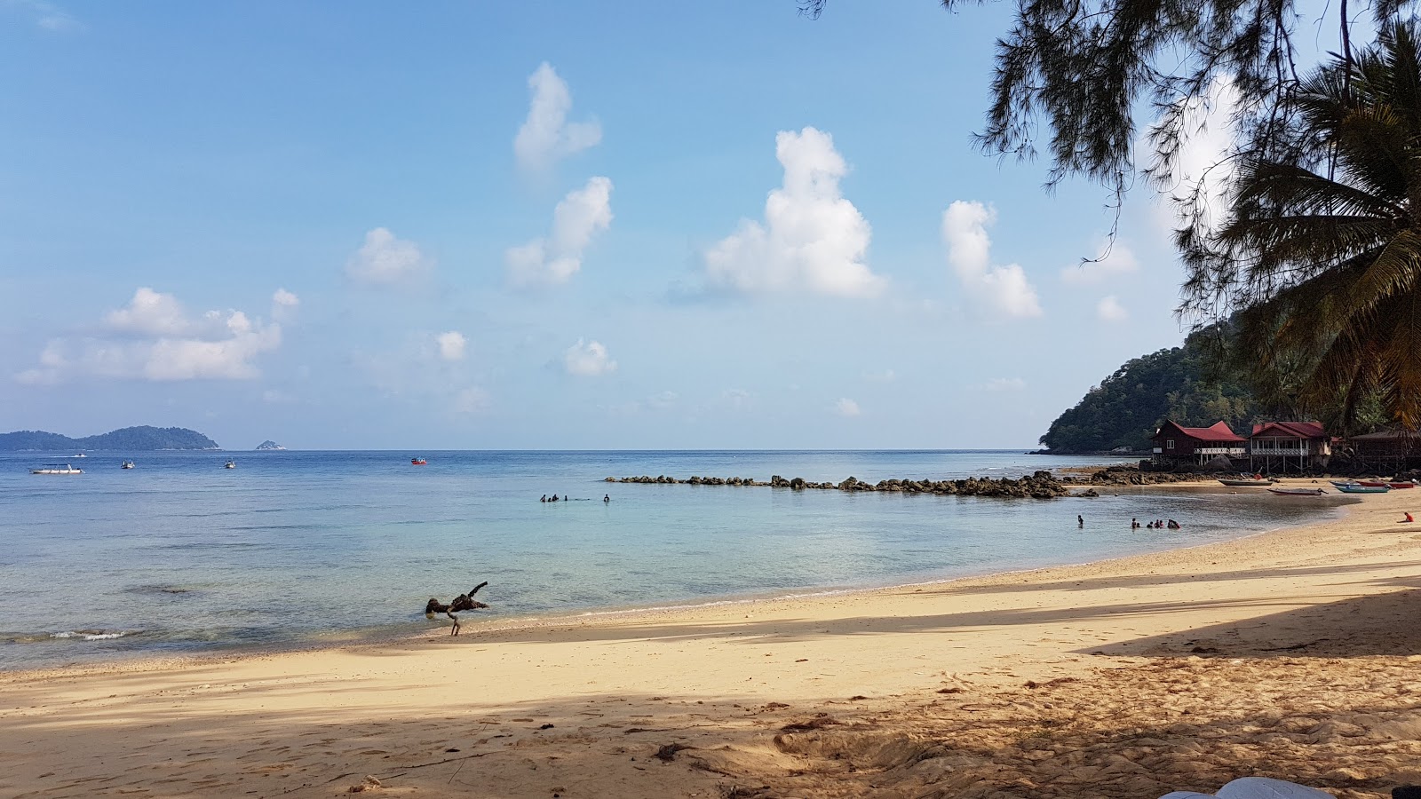 Kampung Salang photo #8